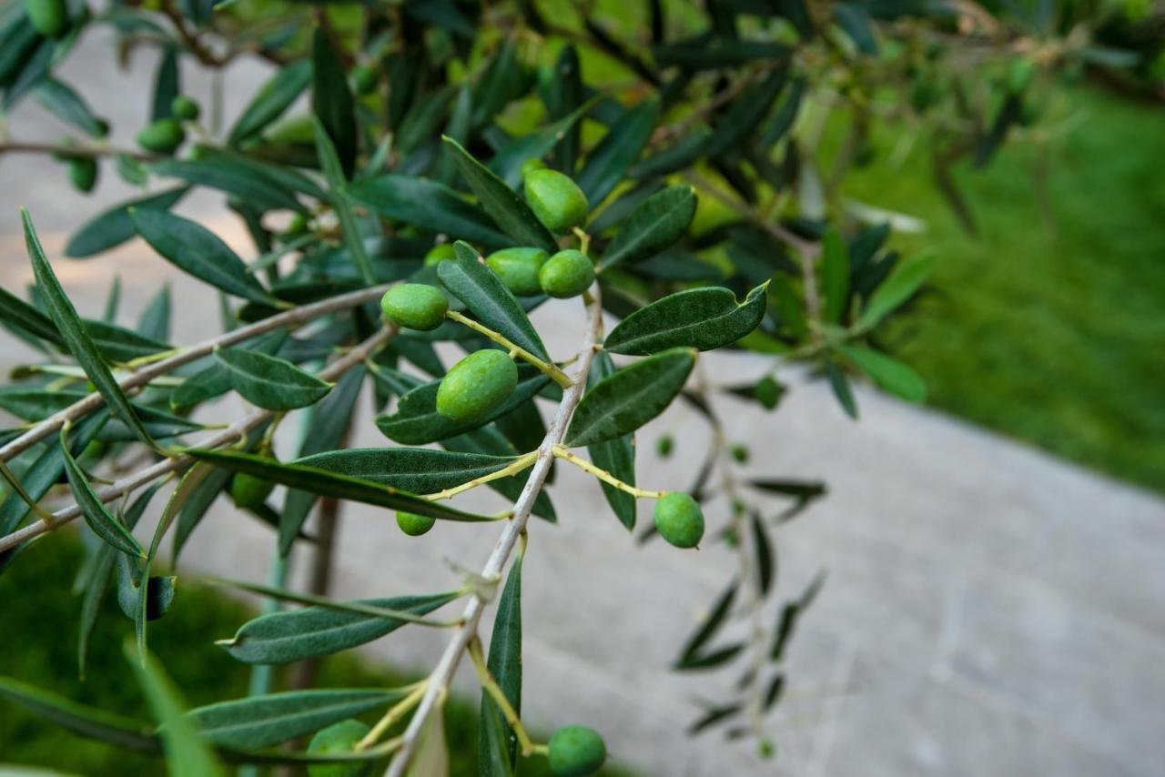 Olive 103 Apartment Peraia  Bagian luar foto